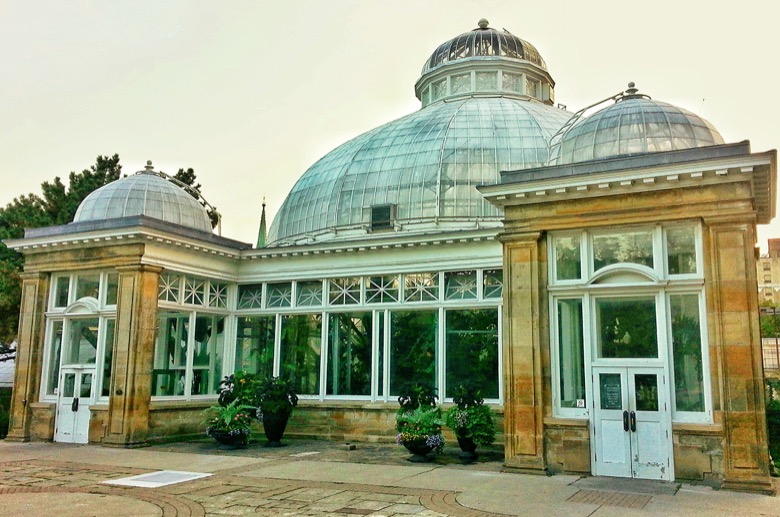 Allan Gardens Activities