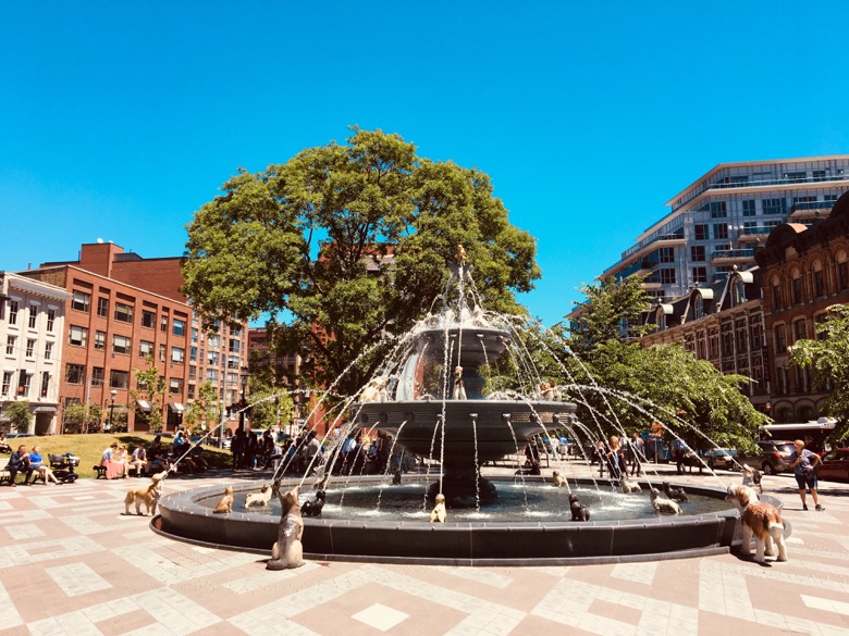 Berczy Park Dog Fountain Toronto A doggone delight